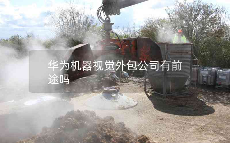 華為機(jī)器視覺(jué)外包公司有前途嗎