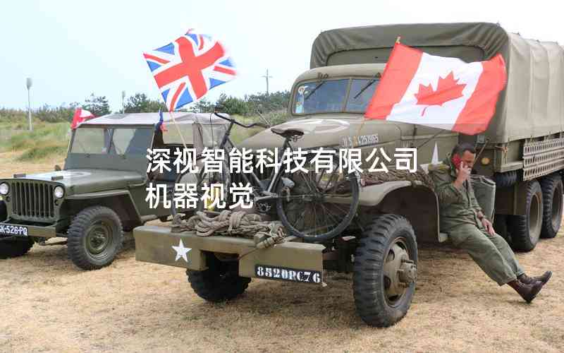 深視智能科技有限公司 機器視覺