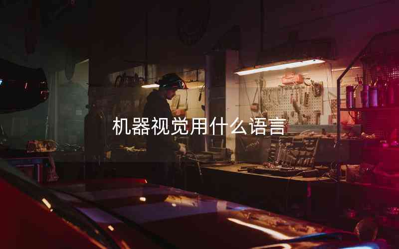 機(jī)器視覺用什么語言