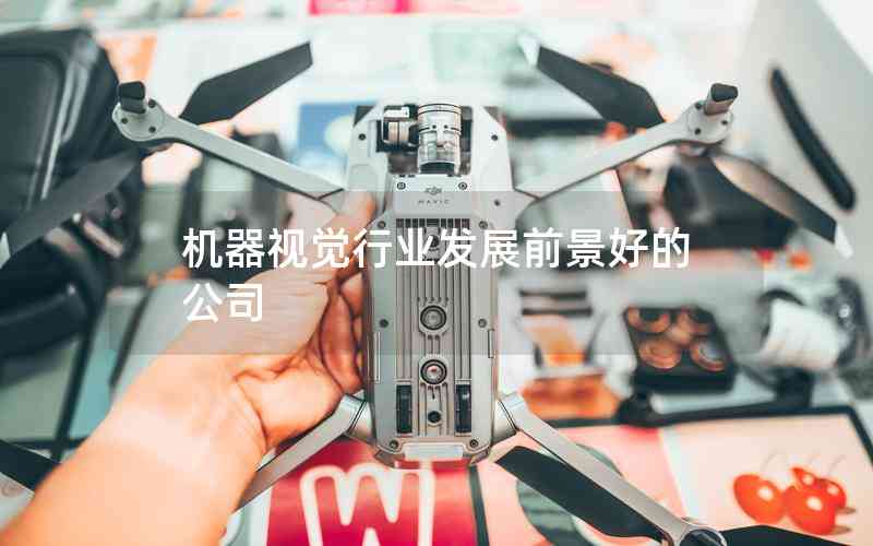 機(jī)器視覺(jué)行業(yè)發(fā)展前景好的公司