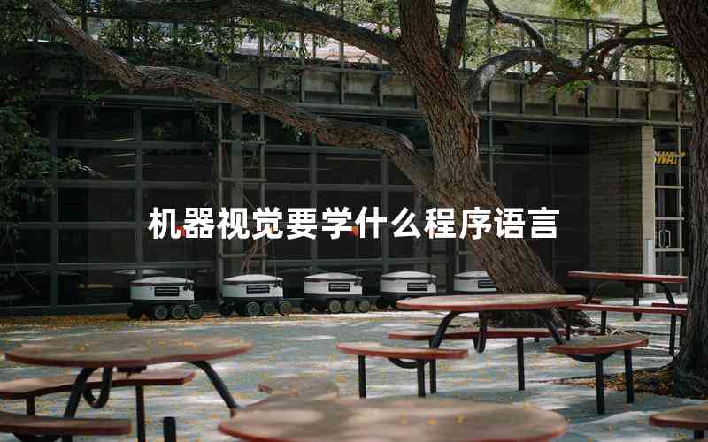 機器視覺要學什么程序語言