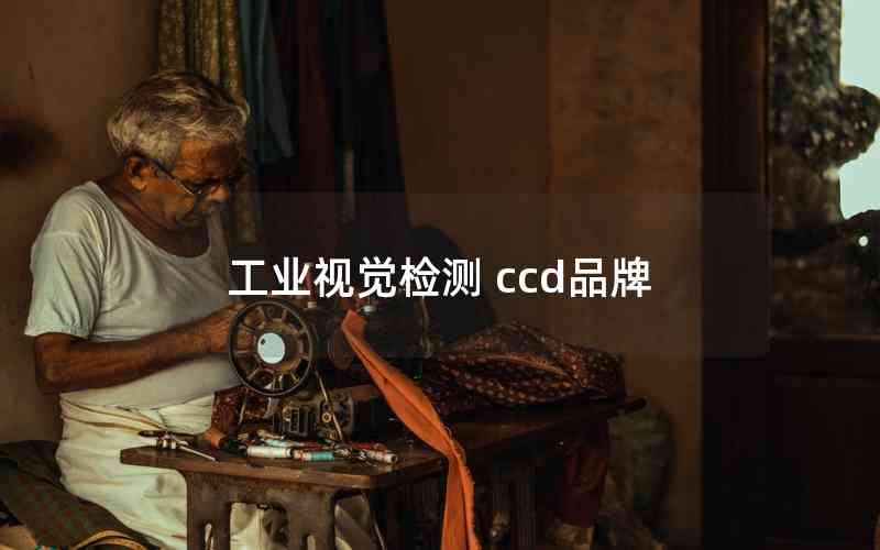 工業(yè)視覺(jué)檢測(cè) ccd品牌