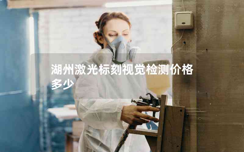 湖州激光標(biāo)刻視覺檢測(cè)價(jià)格多少
