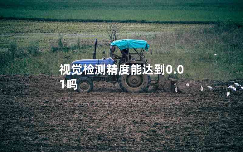 視覺檢測精度能達(dá)到0.01嗎