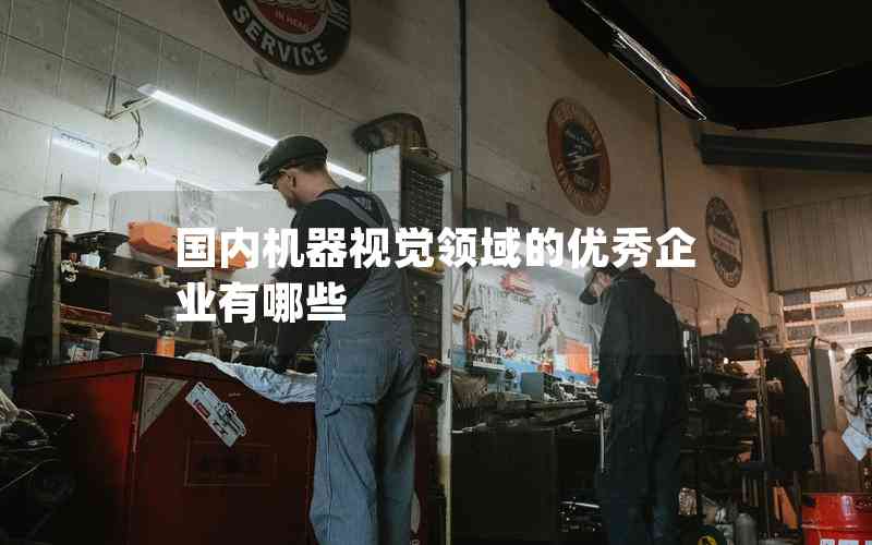 國內(nèi)機(jī)器視覺領(lǐng)域的優(yōu)秀企業(yè)有哪些