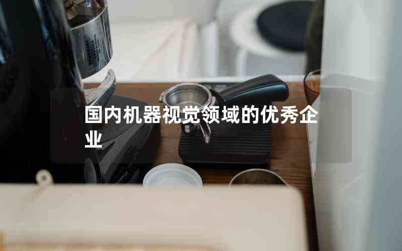 國內(nèi)機(jī)器視覺領(lǐng)域的優(yōu)秀企業(yè)