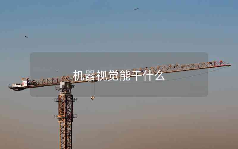 機器視覺能干什么