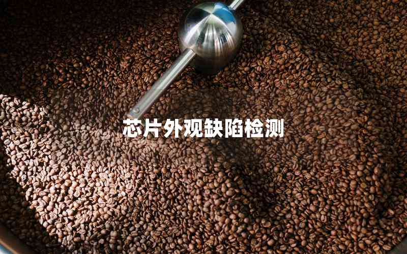 芯片外觀缺陷檢測