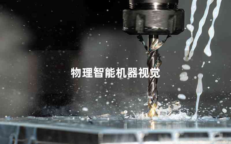 物理智能機(jī)器視覺