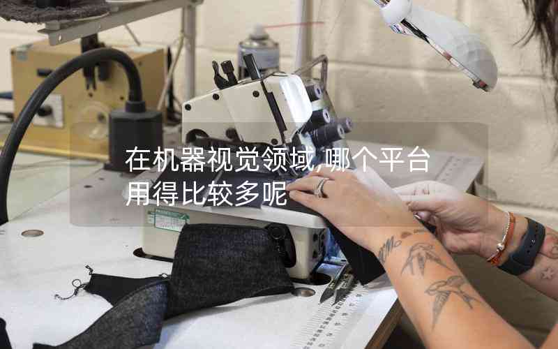 在機器視覺領(lǐng)域,哪個平臺用得比較多呢