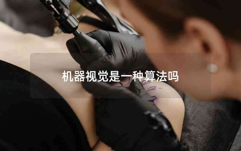 機(jī)器視覺(jué)是一種算法嗎