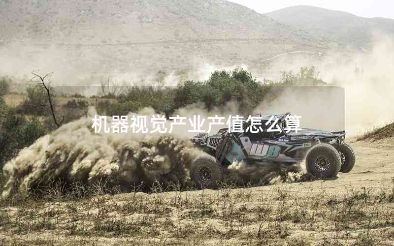 機(jī)器視覺(jué)產(chǎn)業(yè)產(chǎn)值怎么算