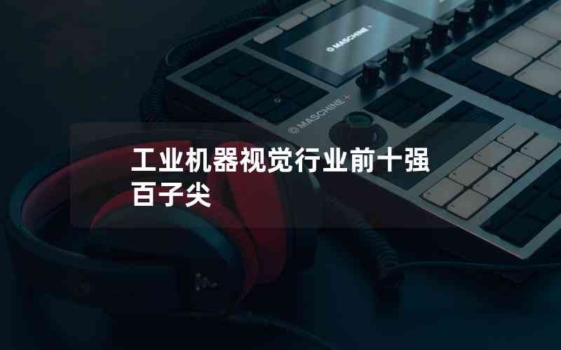 工業(yè)機器視覺行業(yè)前十強 百子尖