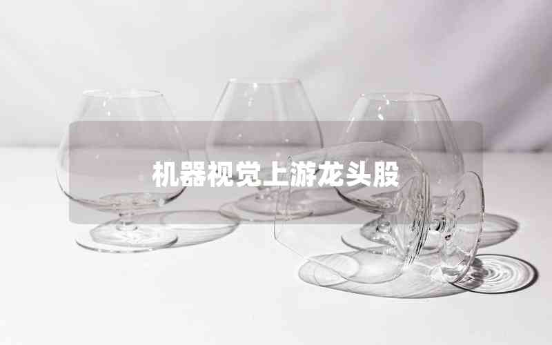 機(jī)器視覺上游龍頭股