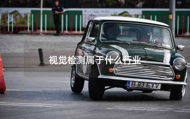 視覺檢測屬于什么行業(yè)