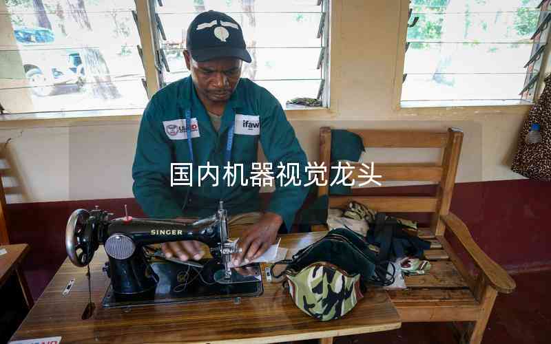 國(guó)內(nèi)機(jī)器視覺(jué)龍頭