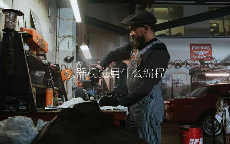機(jī)器視覺(jué)用什么編程