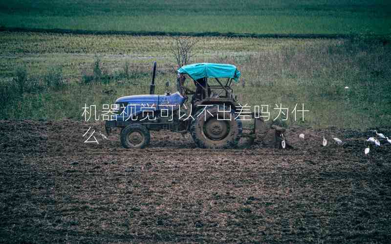 機器視覺可以不出差嗎為什么