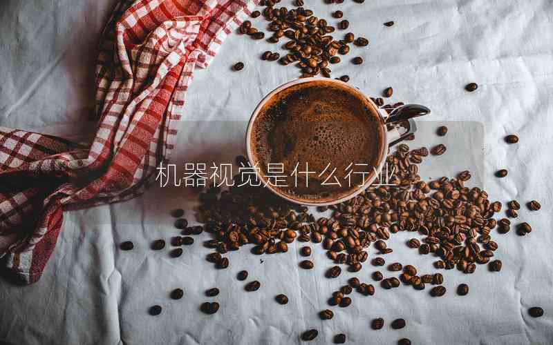 機(jī)器視覺是什么行業(yè)