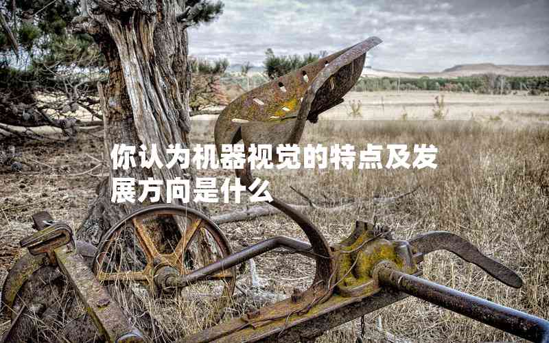 你認為機器視覺的特點及發(fā)展方向是什么