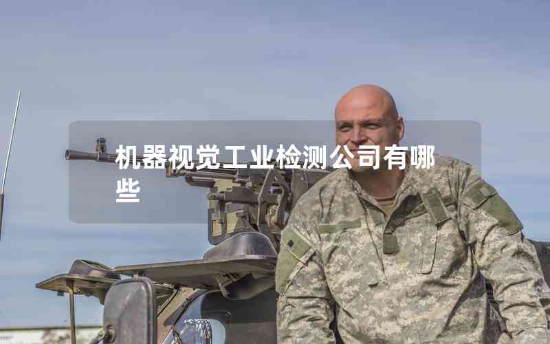 機(jī)器視覺(jué)工業(yè)檢測(cè)公司有哪些