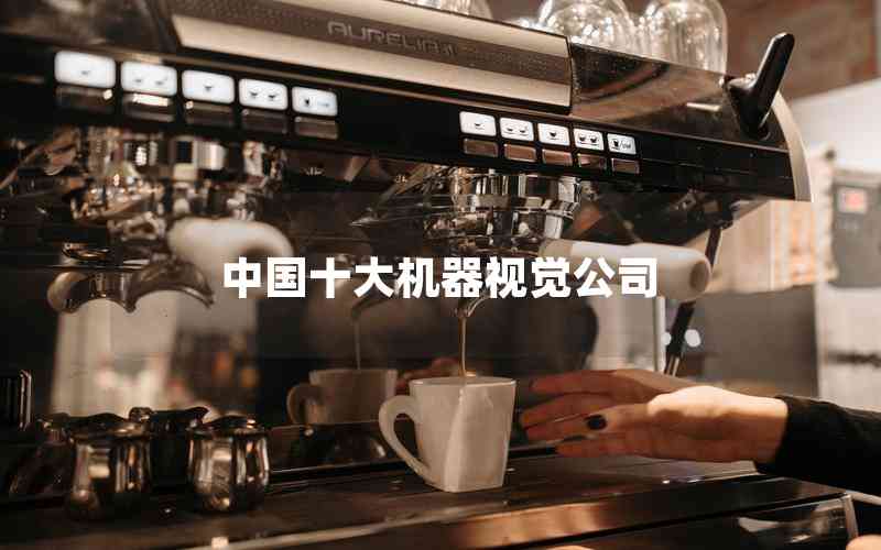 中國十大機(jī)器視覺公司