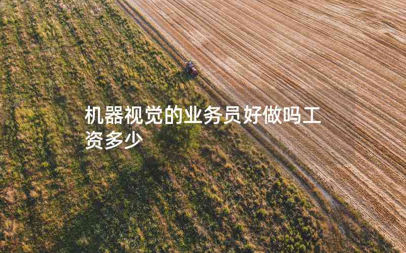 機器視覺的業(yè)務(wù)員好做嗎工資多少