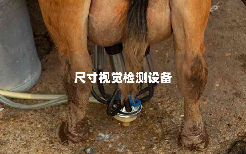 尺寸視覺(jué)檢測(cè)設(shè)備