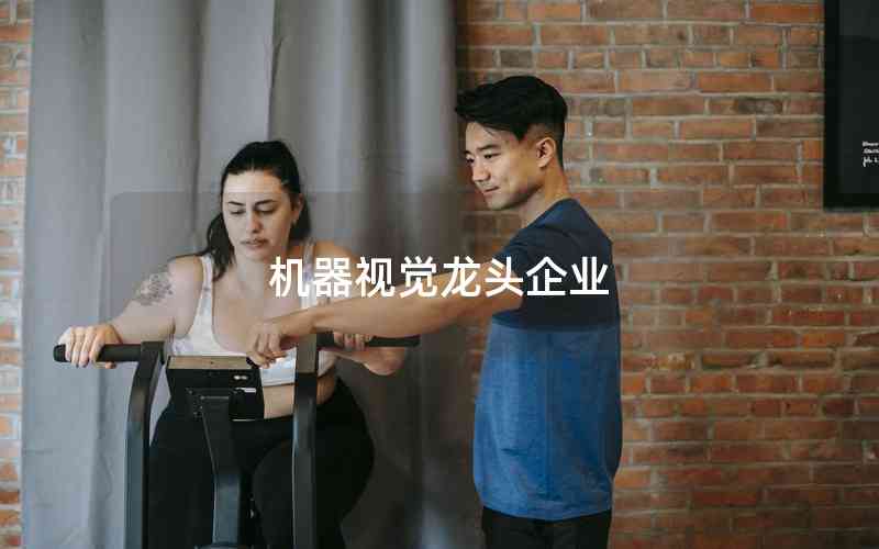 機器視覺龍頭企業(yè)