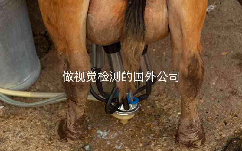 做視覺檢測的國外公司