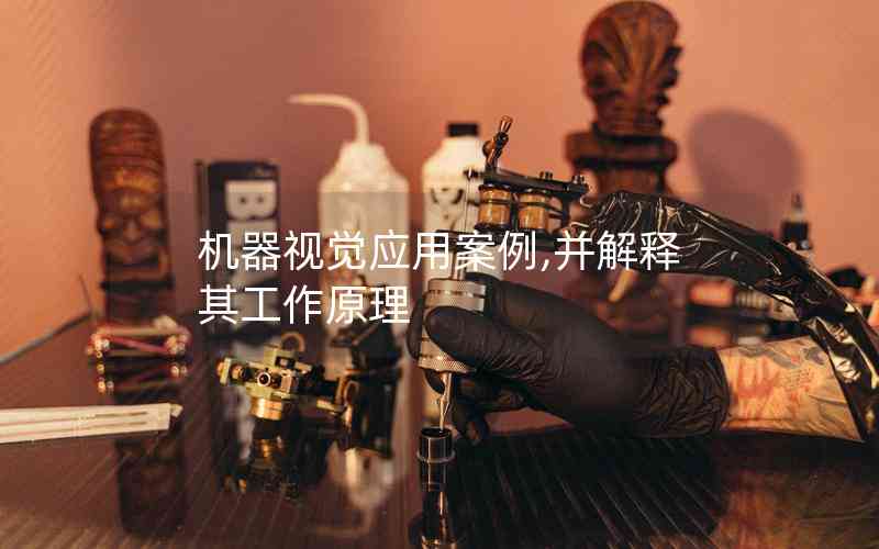 機(jī)器視覺(jué)應(yīng)用案例,并解釋其工作原理