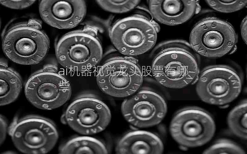 ai機(jī)器視覺龍頭股票有哪些