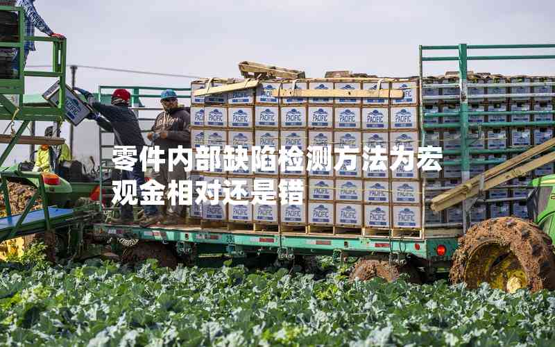 零件內(nèi)部缺陷檢測方法為宏觀金相對還是錯