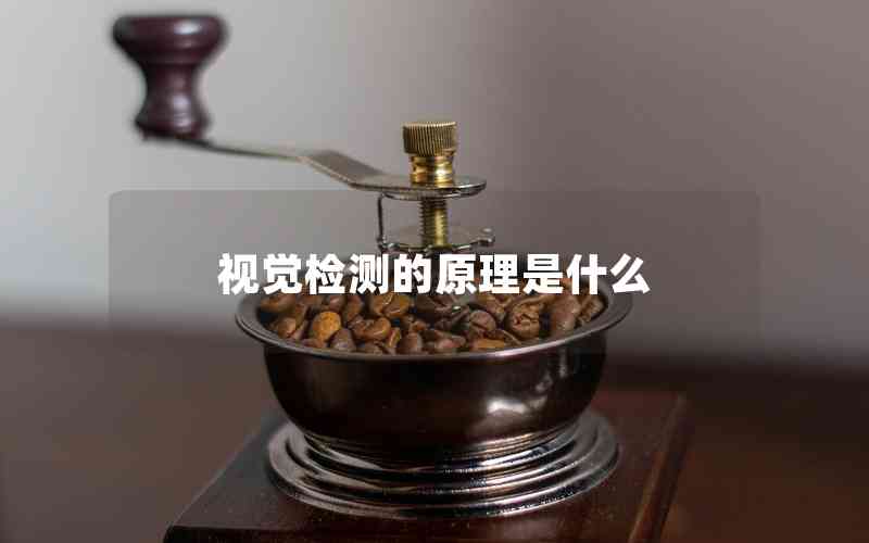 視覺檢測的原理是什么