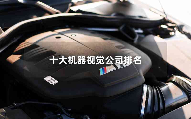 十大機(jī)器視覺(jué)公司排名