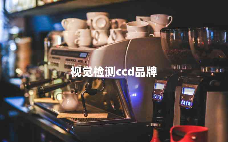 視覺(jué)檢測(cè)ccd品牌