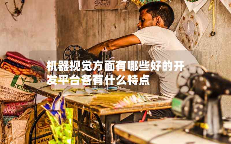 機(jī)器視覺方面有哪些好的開發(fā)平臺(tái)各有什么特點(diǎn)