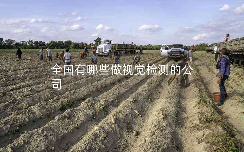 全國有哪些做視覺檢測的公司