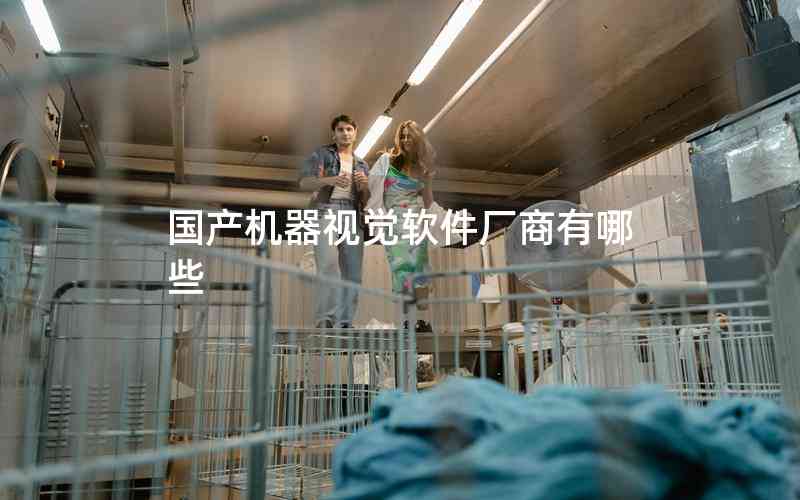 國產(chǎn)機(jī)器視覺軟件廠商有哪些