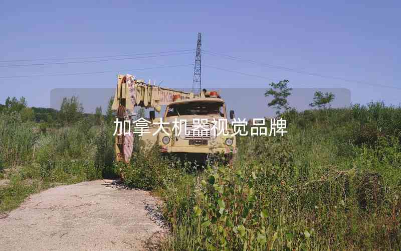 加拿大機(jī)器視覺品牌