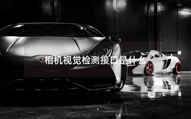 相機視覺檢測接口是什么