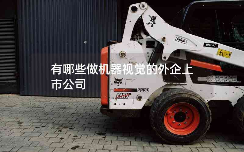 有哪些做機器視覺的外企上市公司