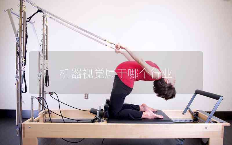 機(jī)器視覺(jué)屬于哪個(gè)行業(yè)