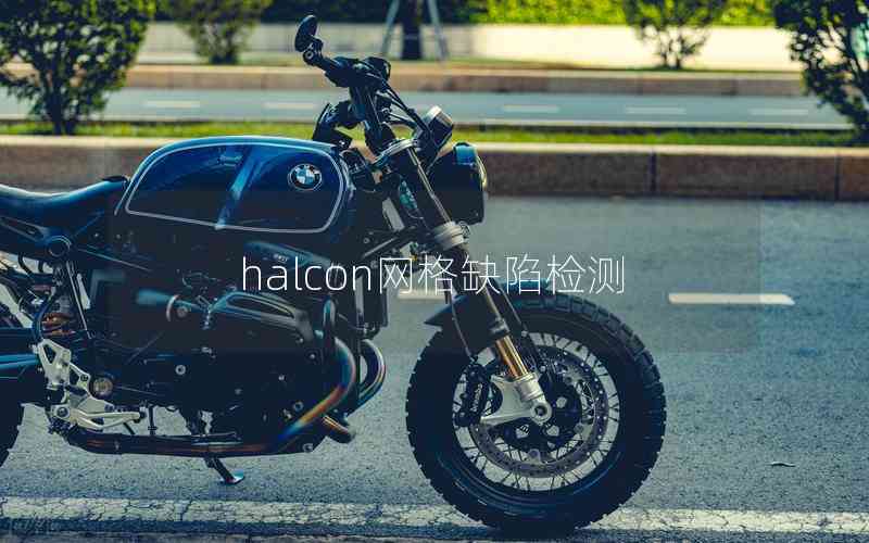 halcon網(wǎng)格缺陷檢測