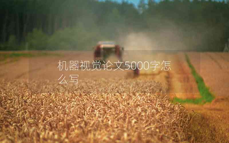 機(jī)器視覺論文5000字怎么寫
