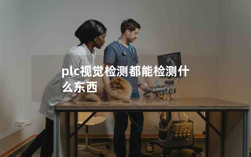 plc視覺檢測都能檢測什么東西
