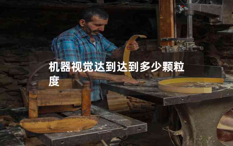 機(jī)器視覺達(dá)到達(dá)到多少顆粒度