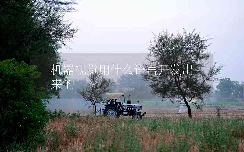 機(jī)器視覺(jué)用什么語(yǔ)言開(kāi)發(fā)出來(lái)的