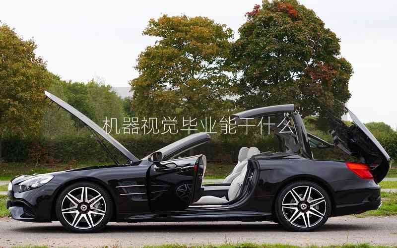 機(jī)器視覺(jué)畢業(yè)能干什么