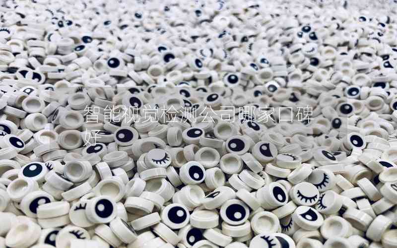 智能視覺檢測(cè)公司哪家口碑好